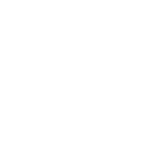 marcas-noa_champion